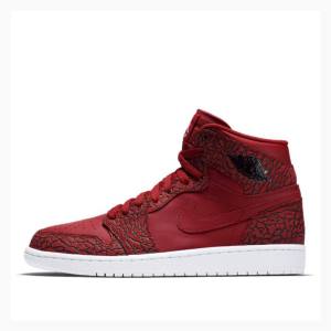 Air Jordan 1 Nike Retro High Gym Cement Chaussure De Basketball Homme Rouge | JD-278JC