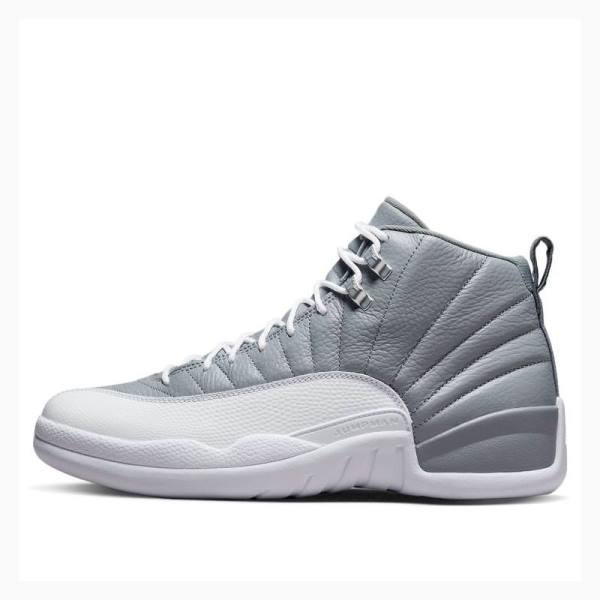 Air Jordan 12 Nike Retro Stealth Chaussure De Basketball Homme Grise | JD-025SN