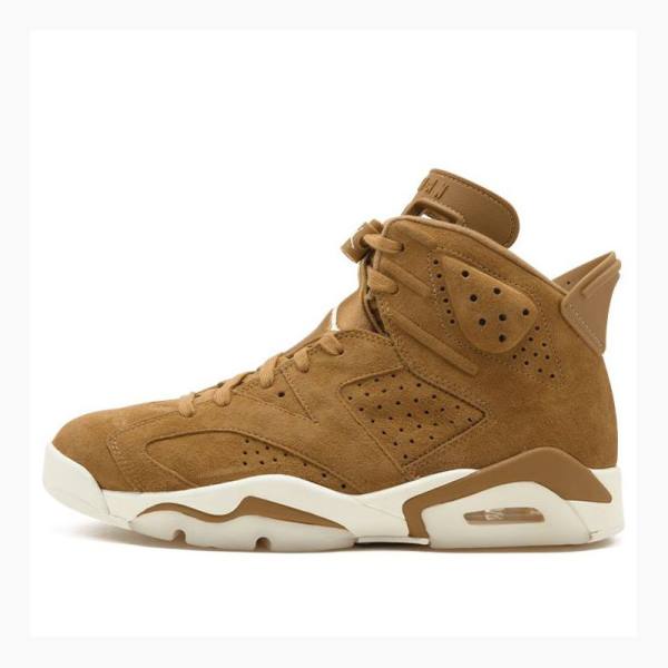 Air Jordan 6 Nike Retro Wheat Chaussure De Basketball Homme Marron | JD-027NC